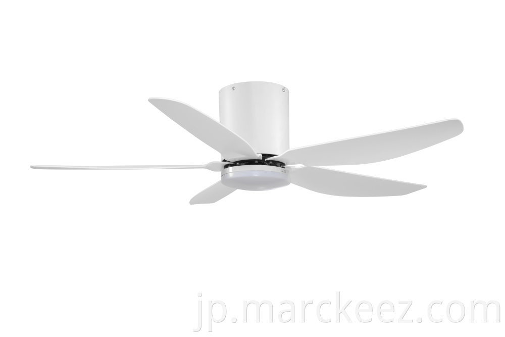 low profile ceiling fan 